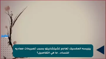 رئيسة المكسيك تهاجم تشيتشاريتو بسبب تصريحات معادية للنساء.. ما هي التفاصيل؟